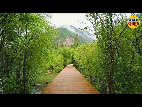Excursão a pé pela área panorâmica do Vale Jiuzhaigou na China em 2022