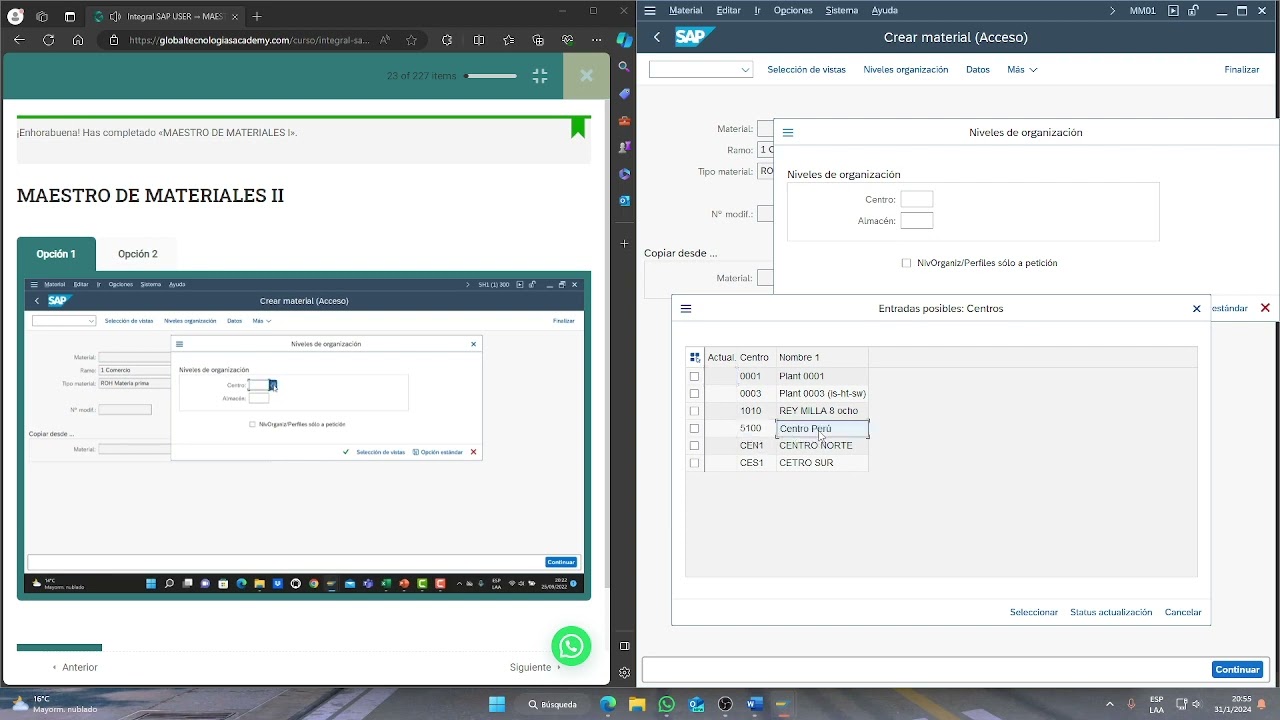 Maestro de materiales en SAP modulo MM
