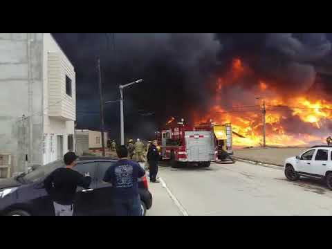 Video: Incendio en la fábrica Isla Grande