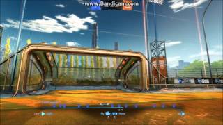 The grey bushes prevail