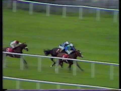 1984 Phoenix Champion Stakes Sadlers Wells