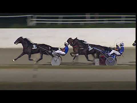 Napoli Trotto 18/08/2023 - 7ª corsa