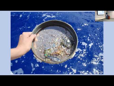 Microplastics - It's Degradation and Transfer to our Food webs [10-11-2002]