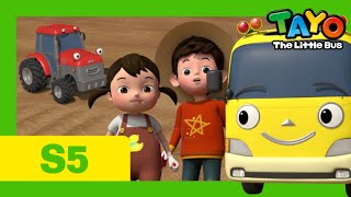Tayo Español la Serie 5 l #8 Kinder visita la granja l Tayo El Pequeño Autobús