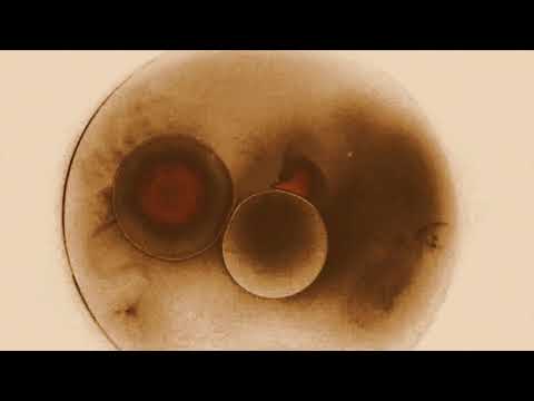 VQ075 Ryan Crosson - A. ITYC (Visionquest Records)