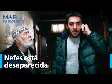 ¿No se puede obtener noticias de Nefes? - Mar Negro Capítulo 26 | Fugitiva