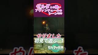 【ティアキン】ゼルダとのひと時の洞窟アヴァンチュールを堪能しよう  #shorts
