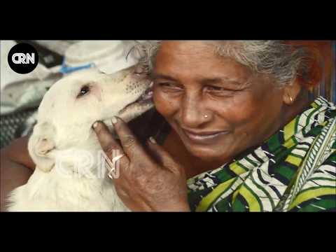 PRATIMA DEVI | Mother of 300 dogs | Chhota Reporter