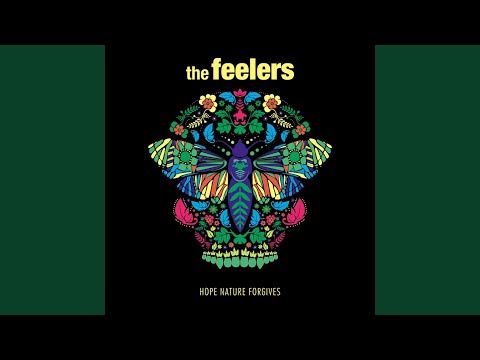Hope Nature Forgives - The Feelers