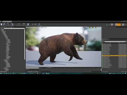 Medhue Brown Bear on Unreal Engine!