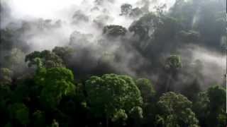 Steve Jansen / Richard Barbieri / Mick Karn (Long Tales, Tall Shadows)