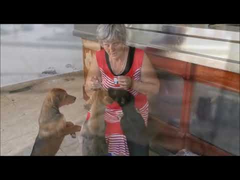 Sorina, Naja  & Valea