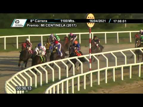 210416 c08 - MARTILLO VELOZ - HIPODROMO LAS PIEDRAS