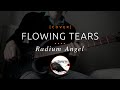 46 | Flowing Tears - Radium Angel (cover in E tuning)