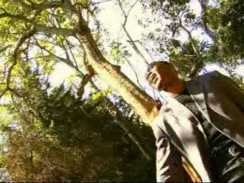 Emmy kosgey jehovah yat