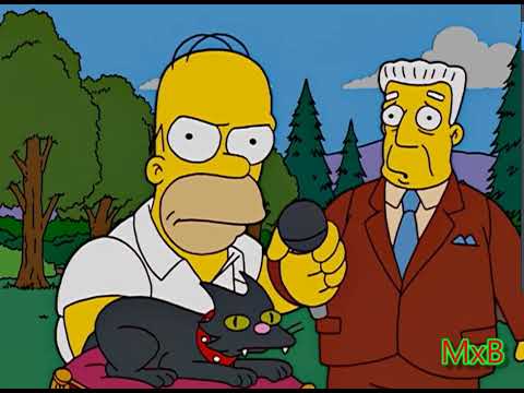 I Simpson Homer parole dure di un uomo davvero strano