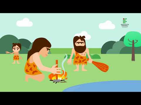 O HOMEM E O MEIO AMBIENTE