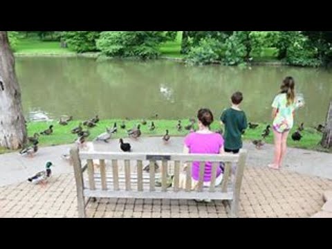 Lakeside Park Wattle Grove Sydney Australia