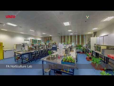 جولة افتراضية لجامعة الإمارات