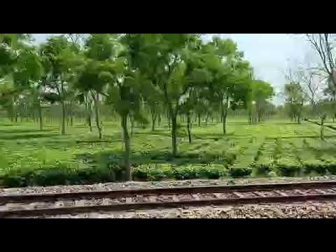 #amazing #nature #love #beautiful