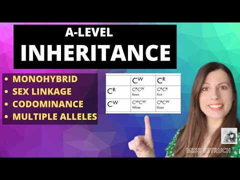 Inheritance Punnet Square Genetic Crosses- Overview of all inheritance for A-level Biology