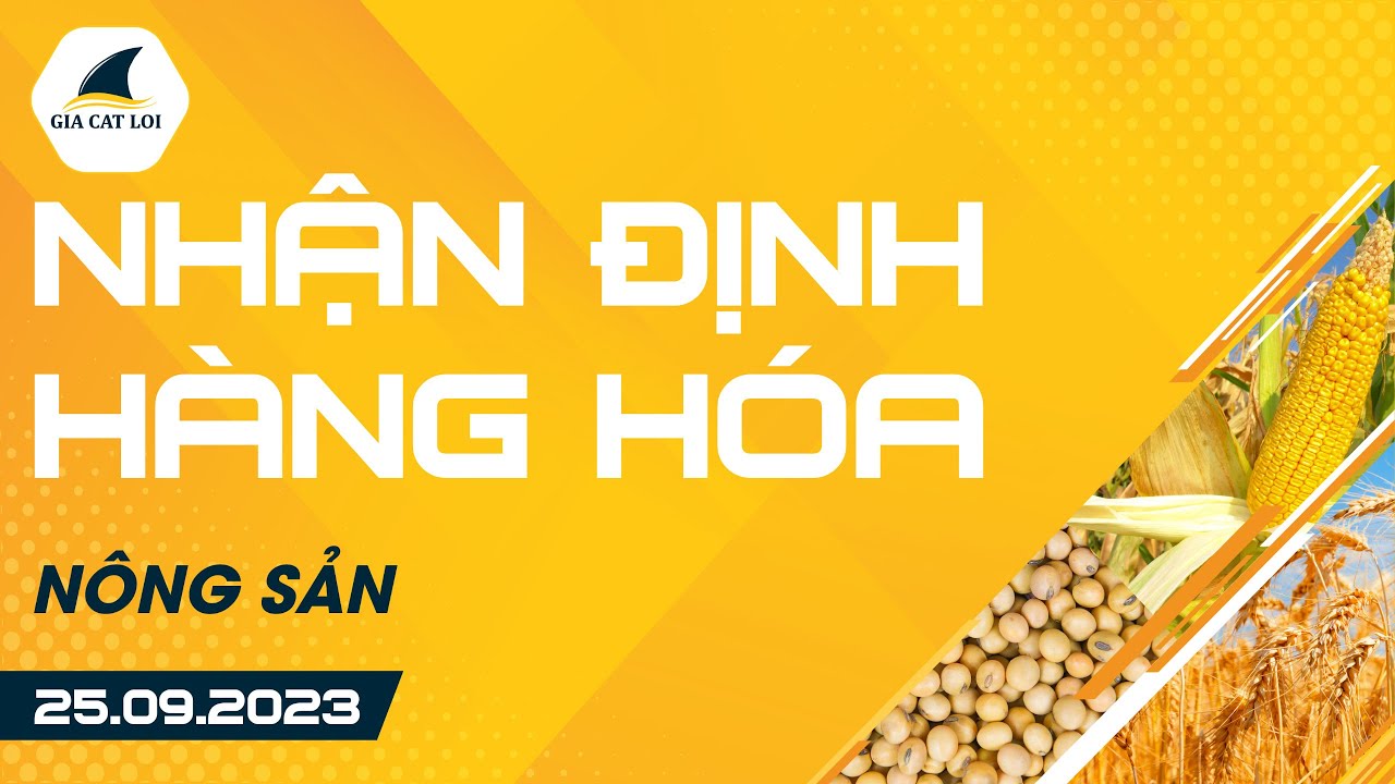 Nhận Định Hàng Hoá Nông Sản Ngày 25/09/2023