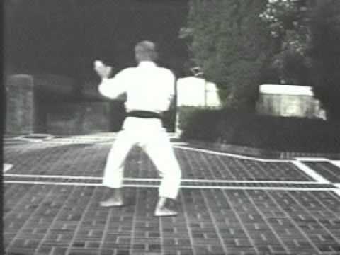 Hironori Otsuka sensei - Niseishi