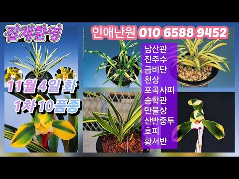 유튜브 썸네일