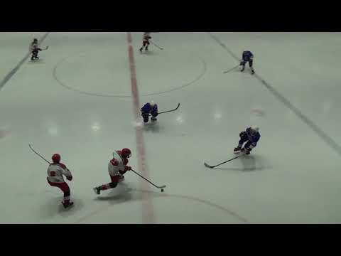 2020.02.15 MU HC Letci Letňany - HC Tábor I