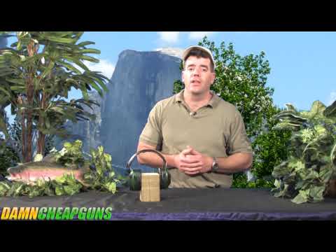 Radians Electronic Hearing Protection