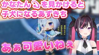 かなたん💫に遇うと子犬みたいになるあずきち【AZKi／切り抜き】　#ホロドリ