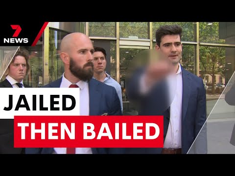 Hitler supporter jailed then bailed after performing Nazi salute in public | 7NEWS