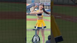 【荷律 변하율 】 岳東華應援曲#Passion Sisters#台湾チアリーディングチーム#中華職棒#CPBL#洲際#20240908