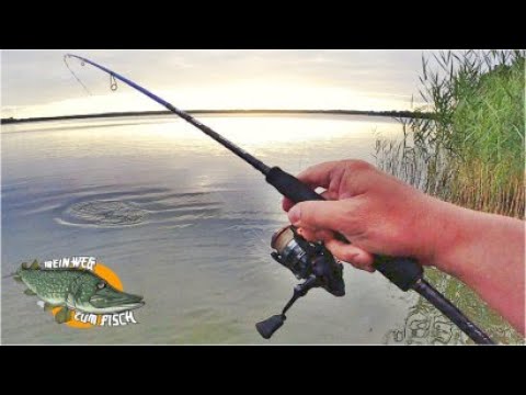 Barschangeln im See vom Ufer Teil 2 - die richtige Angelausrüstung zum Barschangeln im Sommer