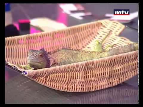 Men El Ekhir - Episode 41