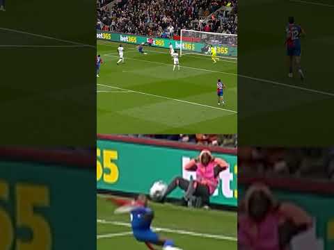 Snapinsta app video 120122635 690134806485743 8955430322652086142 n