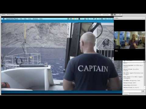 Great White Shark LIVE Webinar from CSULB Shark Lab Archive-Ocean First Institute