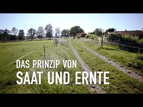 Das Prinzip von Saat und Ernte