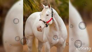 *Question olvidada* Laberinto.