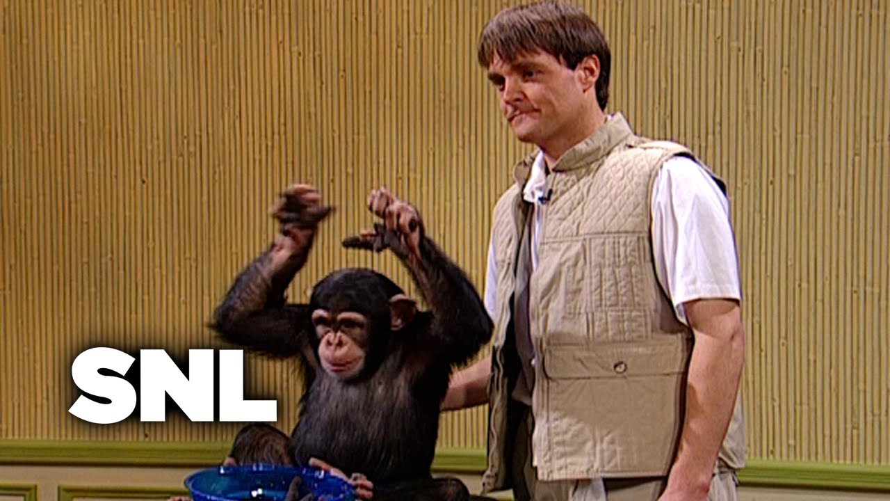 Monkeys Throwing Poop at Celebrities - Saturday Night Live - YouTube
