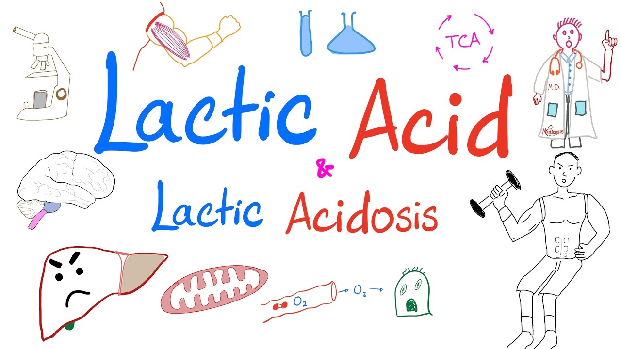Lactic Acidosis | Lactic Acid | Lab 🧪 ...Why your muscles 💪 get sore! 😱