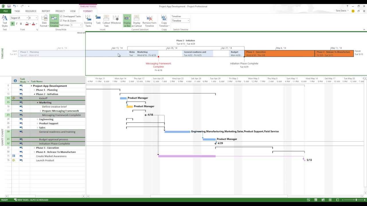 Timelines in Microsoft Project 2013