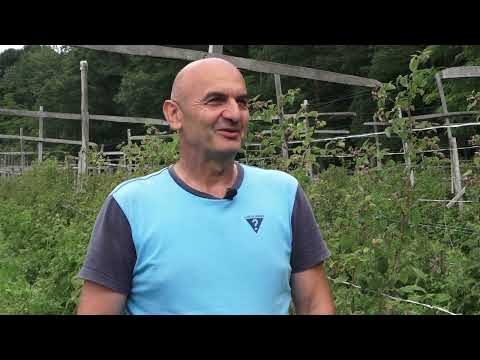 Agro karavan ep.232 - Jezevica - 19.06.2022.