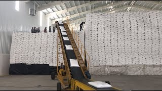 Mountains of Sugar