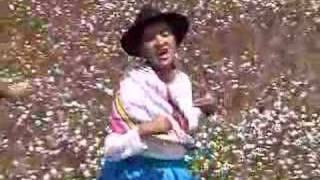 Yo soy el carnaval - I am the carnival - Martha Palomino