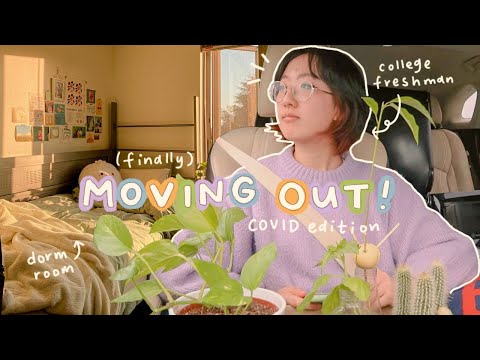 COLLEGE MOVE IN DAY // freshman @ university of washington!