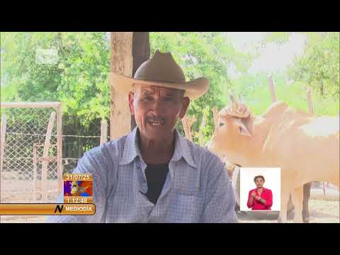 Cuba: Destacan resultados de cooperativa ¨Los Silva¨