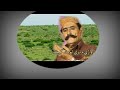 Haider Rind Sindhi Song Mp3 128K