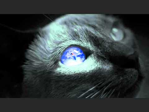 Herbivoros Contaminados - Mi mundo