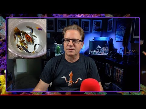 What Was I Thinking: The Aquarium Fiasco